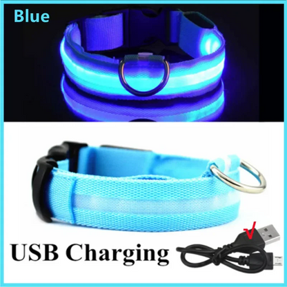 3 Modes Dog Luminous Charge Collar