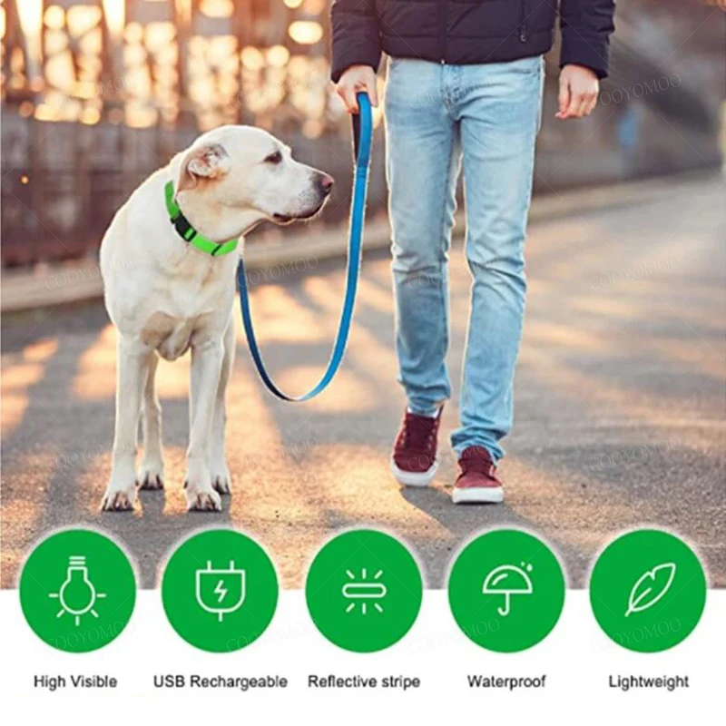 3 Modes Dog Luminous Charge Collar
